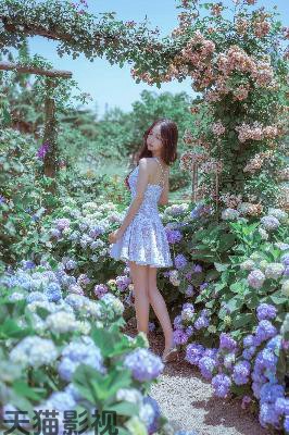 最好看2019中文在线播放电影